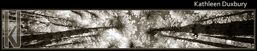 CCC Canopy